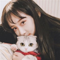 雷速官方网页截图